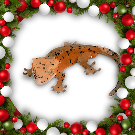 Reptile Decor Lighting & Heating