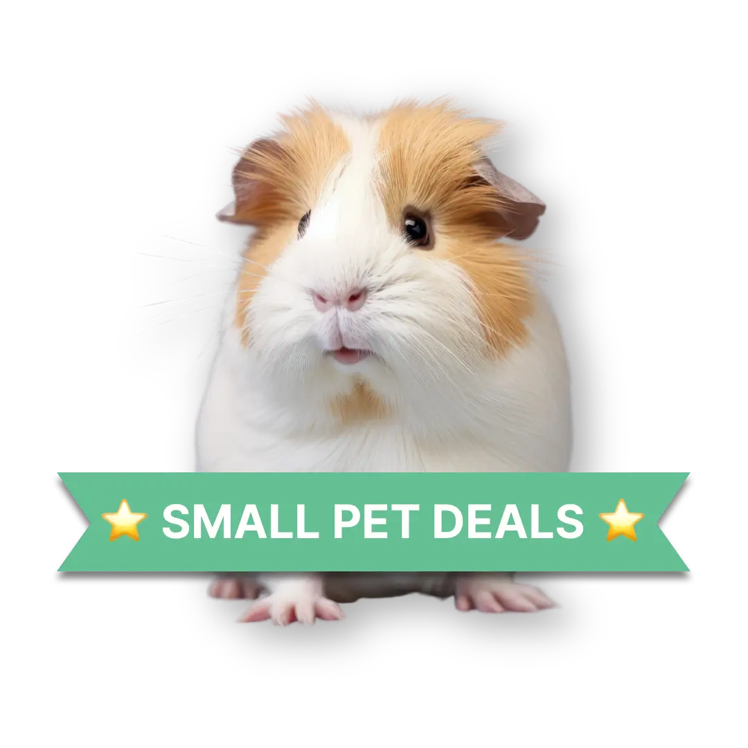 Small Pet Deals