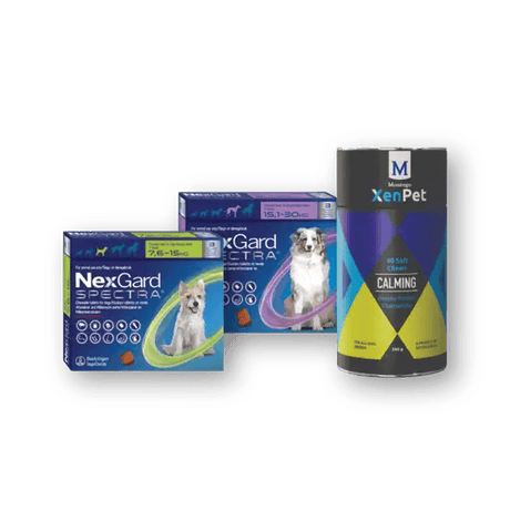 Dog Health & Wellness - Petworld