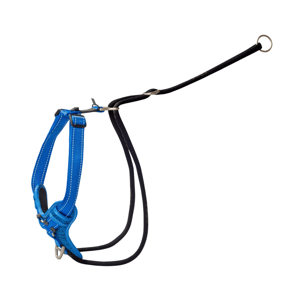 Rogz Utility Stop Pull Harness Blue