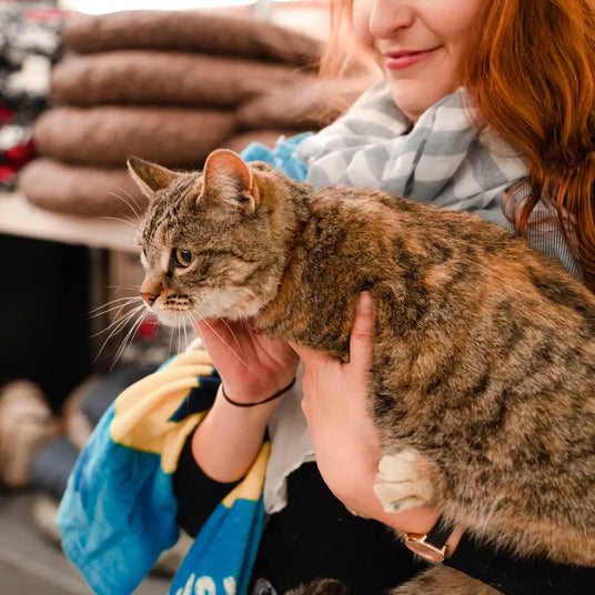 Petworld customer shopping in-store with their cat, showcasing South Africa's trusted online and nationwide petshop experience.