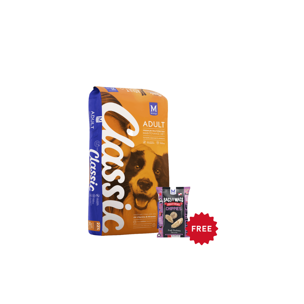 Buy Montego Classic Adult Dry Dog Food Get Free Chippies