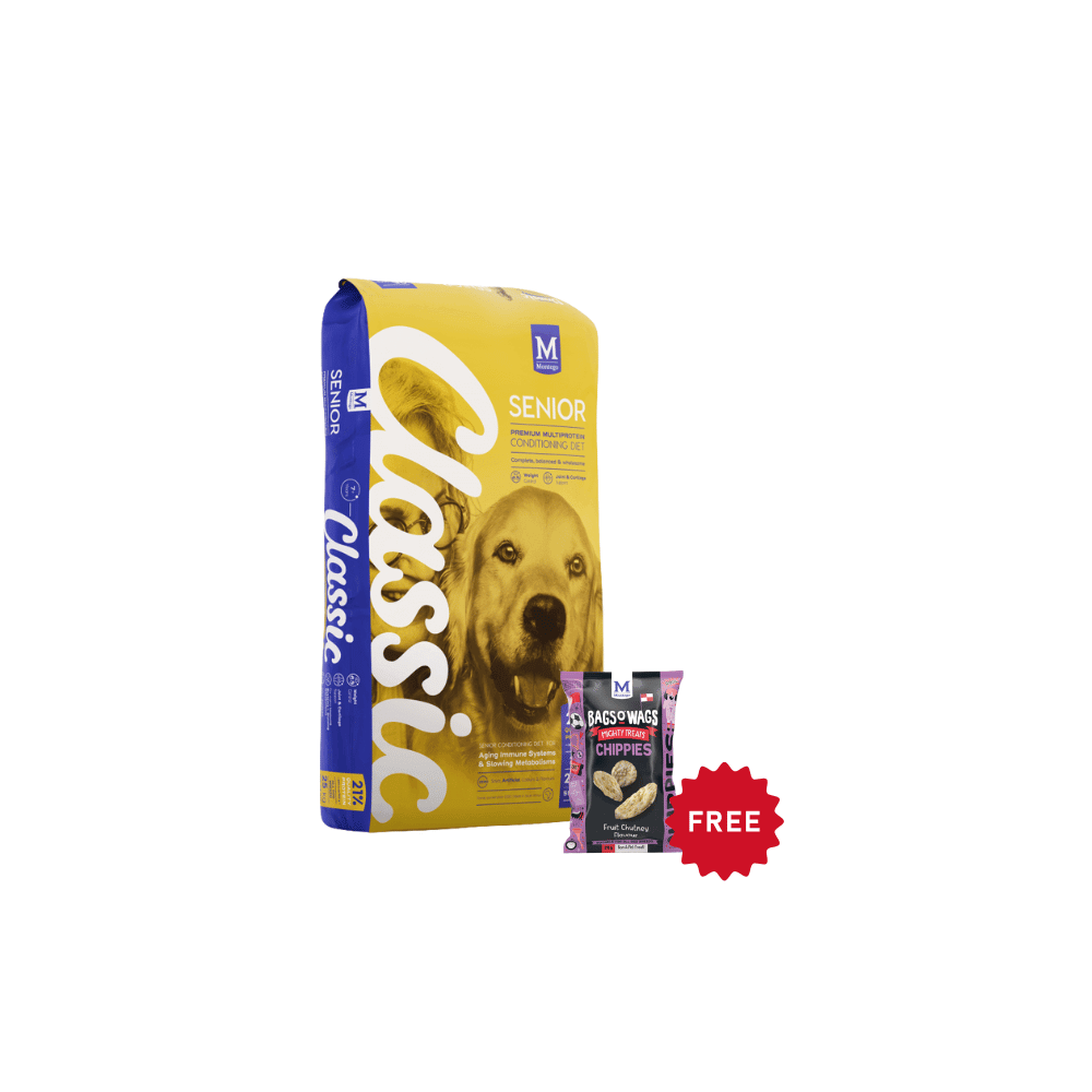 Buy Montego Classic Senior Dry Dog Food Get Free Chippies