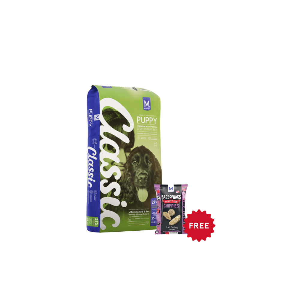 Buy Montego Classic Small Breed Puppy Dry Dog Food Get Chippies FREE