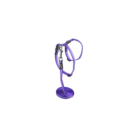 Rogz Kittyrogz Breakaway Buckle Collar X-Small Purple Reflective