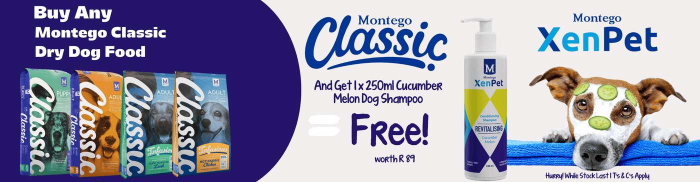 Petworld Your Trusted Pet shop in South Africa