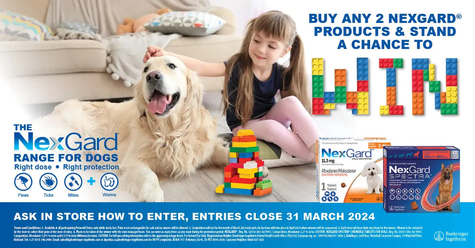 Stores to buy dogs near me outlet