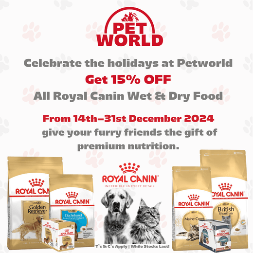Petworld Your Trusted Pet shop in South Africa