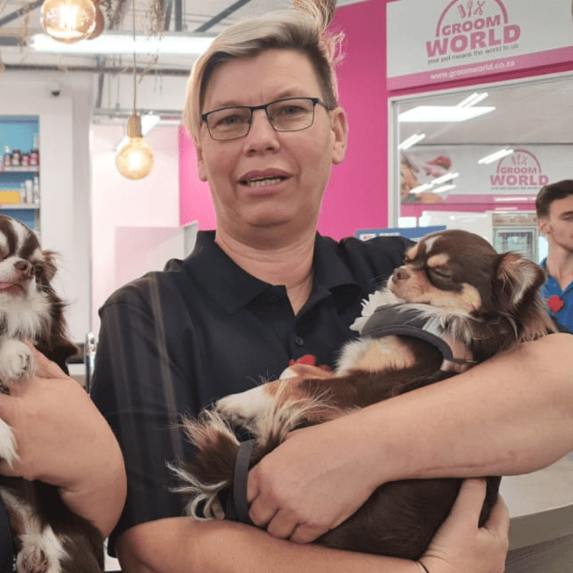 Petworld XXL Cape Gate Petworld