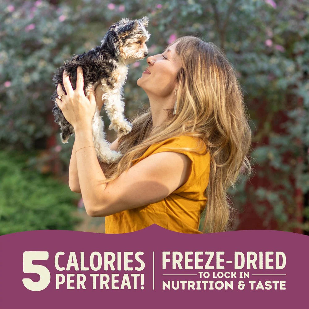 Acana Lamb and Apple Freeze Dried Dog Treats