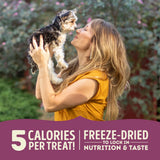 Acana Lamb and Apple Freeze Dried Dog Treats