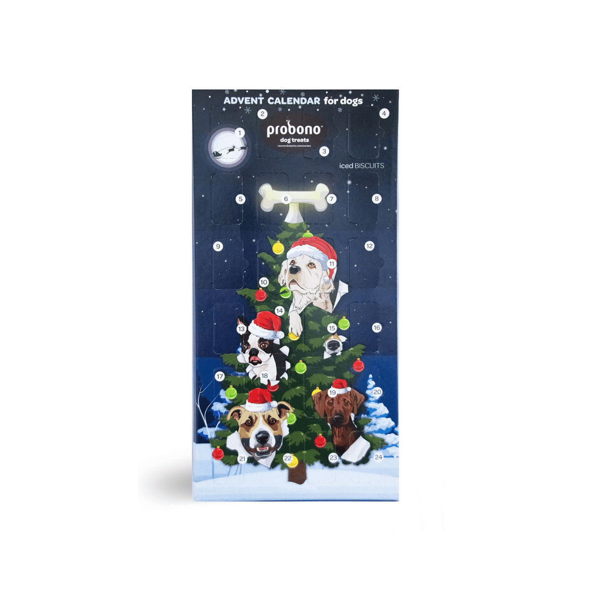 Probono Advent Calendar Christmas Dog Biscuits