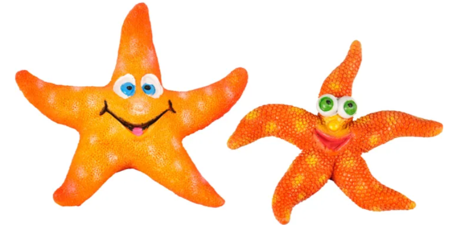 Flamingo Ad Leto Starfish Ass 8X7X2cm