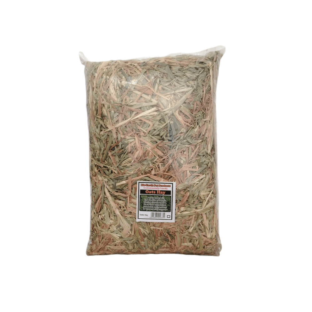 Bio-Earth Oats Hay Blocks Small Animal Bedding 15L – Petworld