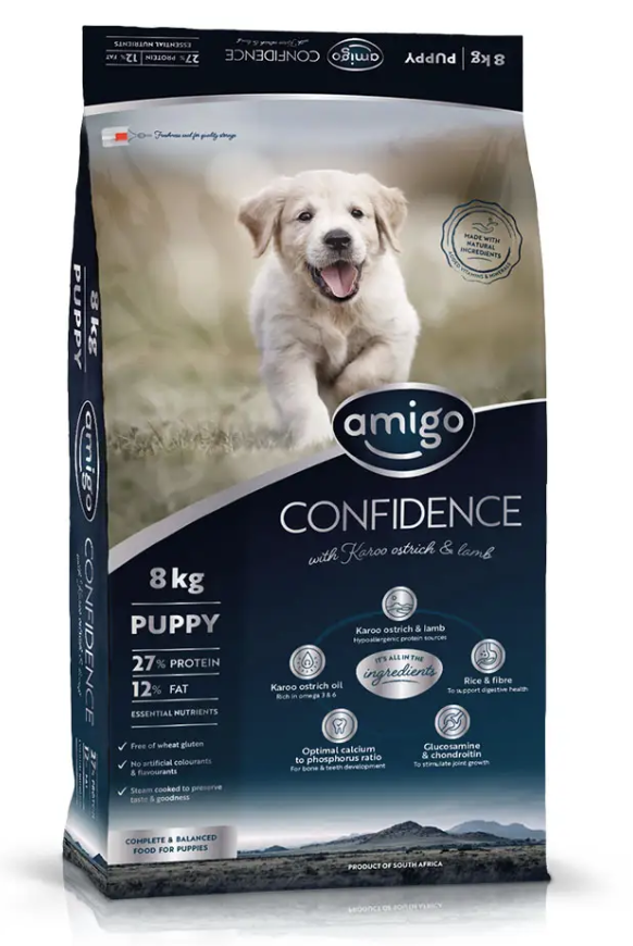 Amigo Confidence All Breed Puppy