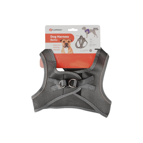 Flamingo Harness Bento Grey