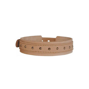 Huntlea Impala Range Dog Collar Bulldog Studded - Petworld
