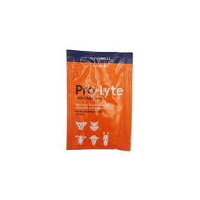 Kyron Pro-Lyte With Glutamine One Pet Supplement 20g Single Sachet - Petworld