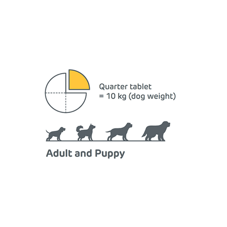 Lionel's Choice All Life Stages Dewormer For Dogs (Up To 40kg) 1 Tablet - Petworld