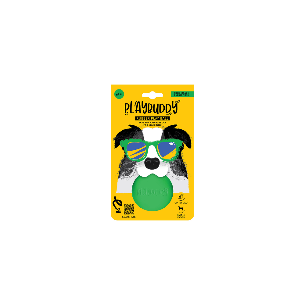 Playbuddy Ball Small Green Dog Toy