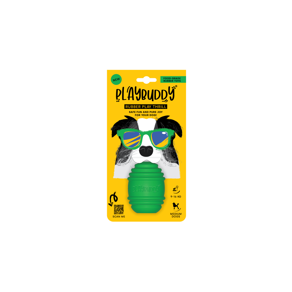 Playbuddy Thrill Medium Green Dog Toy