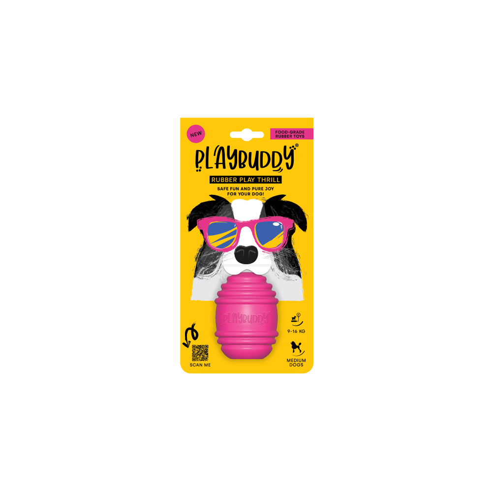 Playbuddy Thrill Medium Pink Dog Toy