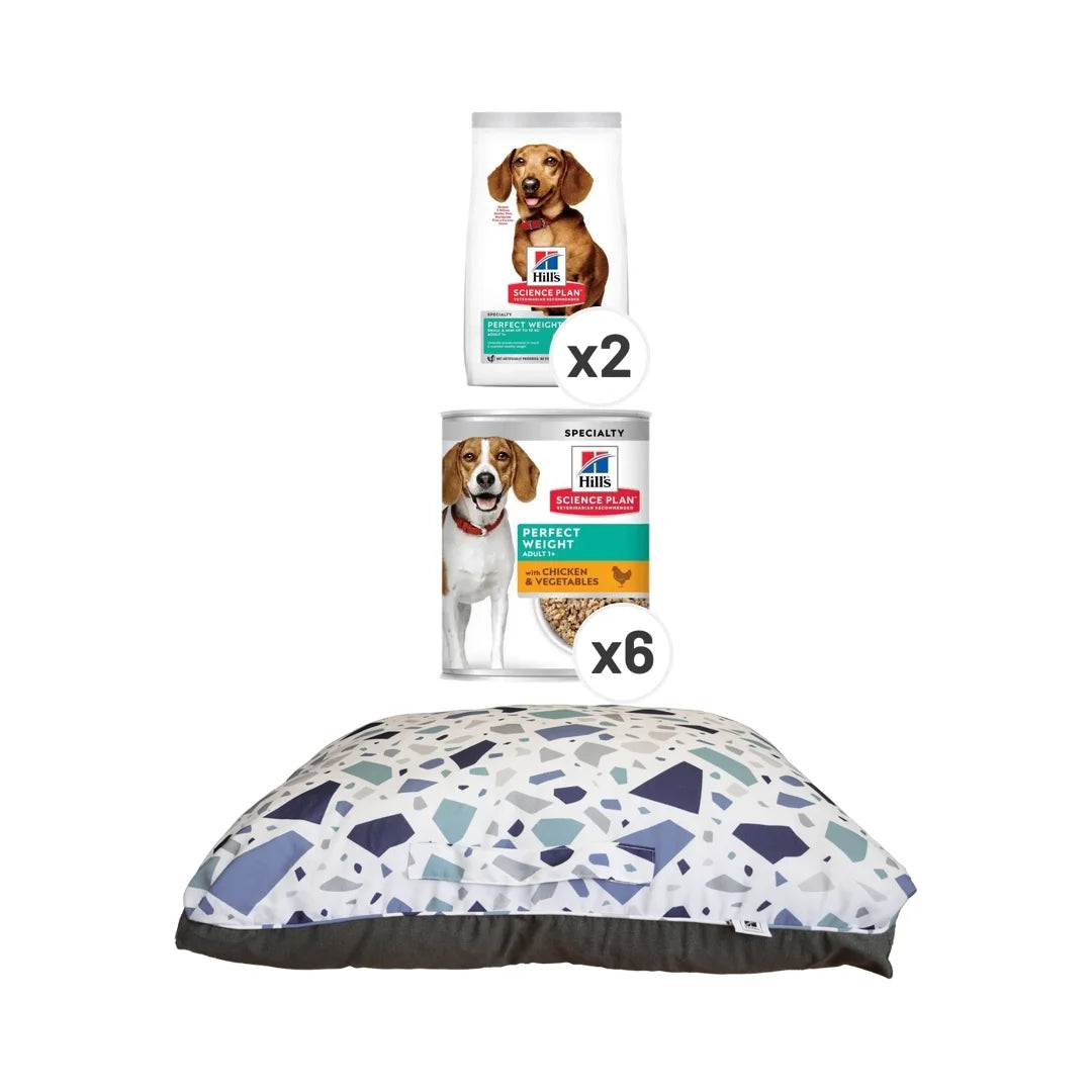 Hill's Science Plan Perfect Weight Small & Mini Chicken Dry Dog Food
