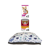 Hill's Science Plan Canine Adult Small & Mini Chicken Dry Dog Food