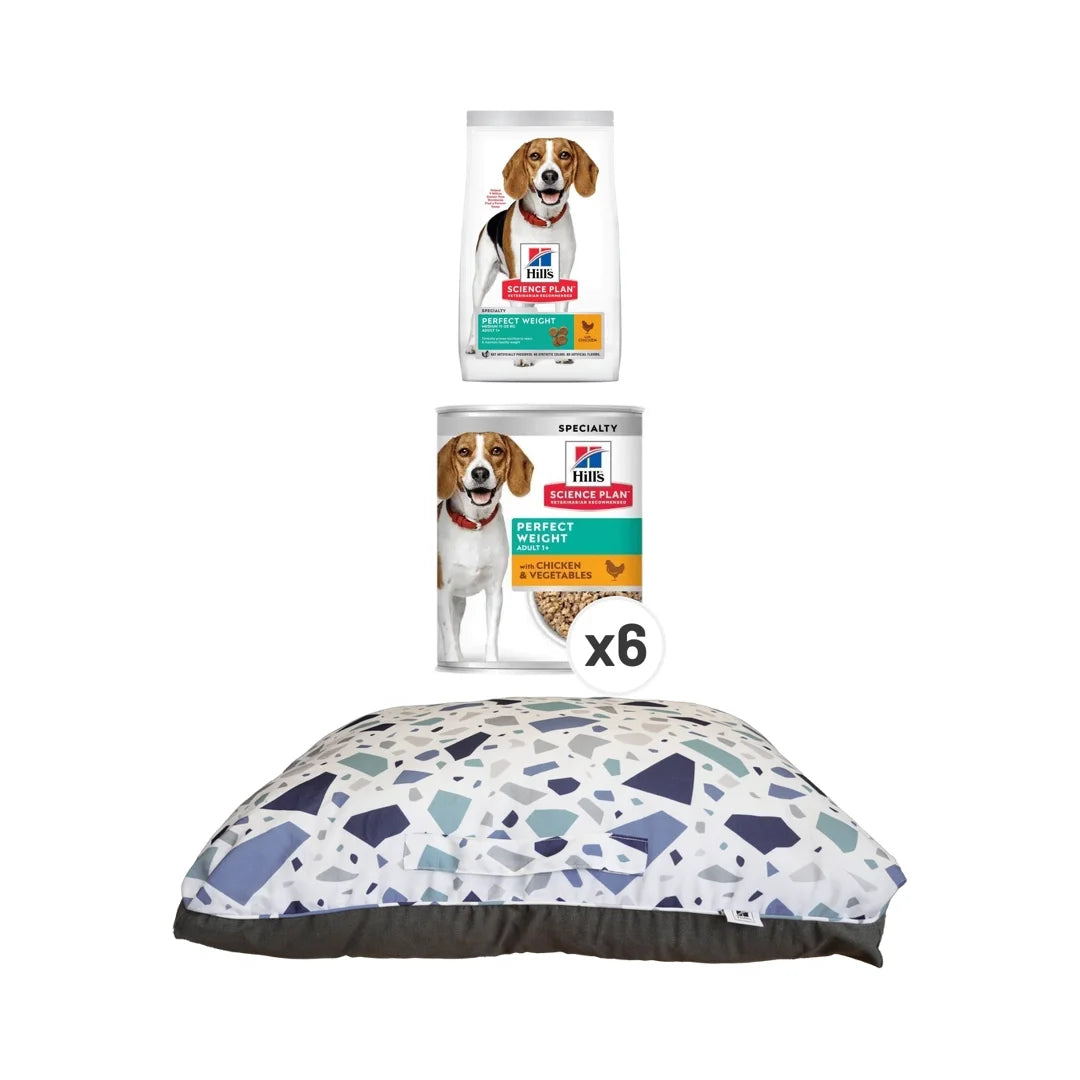 Hill's Science Plan Perfect Weight Medium Chicken Dry Dog Food 12kg
