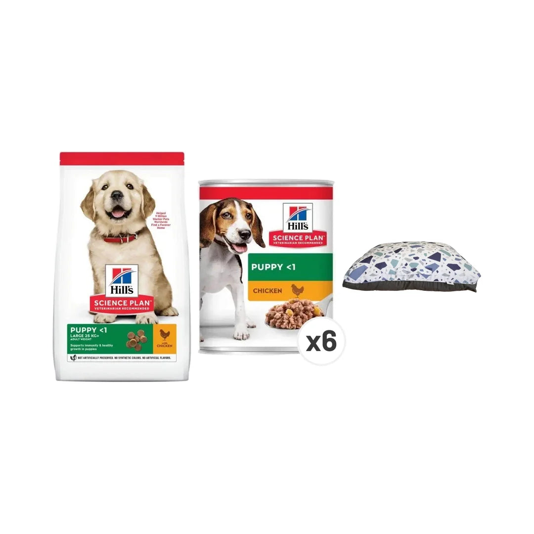 Hill's Science Plan Puppy Large Breed Chicken Dry Dog Food Bundle
