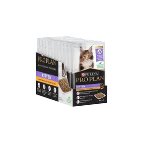 Purina Pro Plan Kitten Chicken in Jelly Wet Cat Food 12 x 85g Box - Petworld