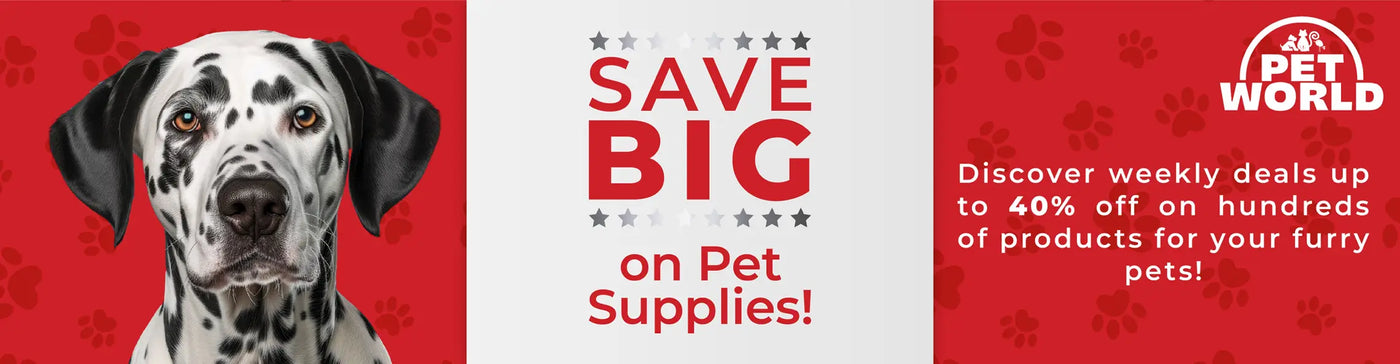 Petworld Your Trusted Petshop in South Africa