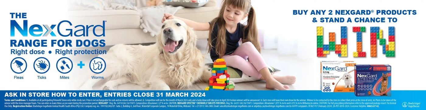 Petworld Your Trusted Petshop in South Africa