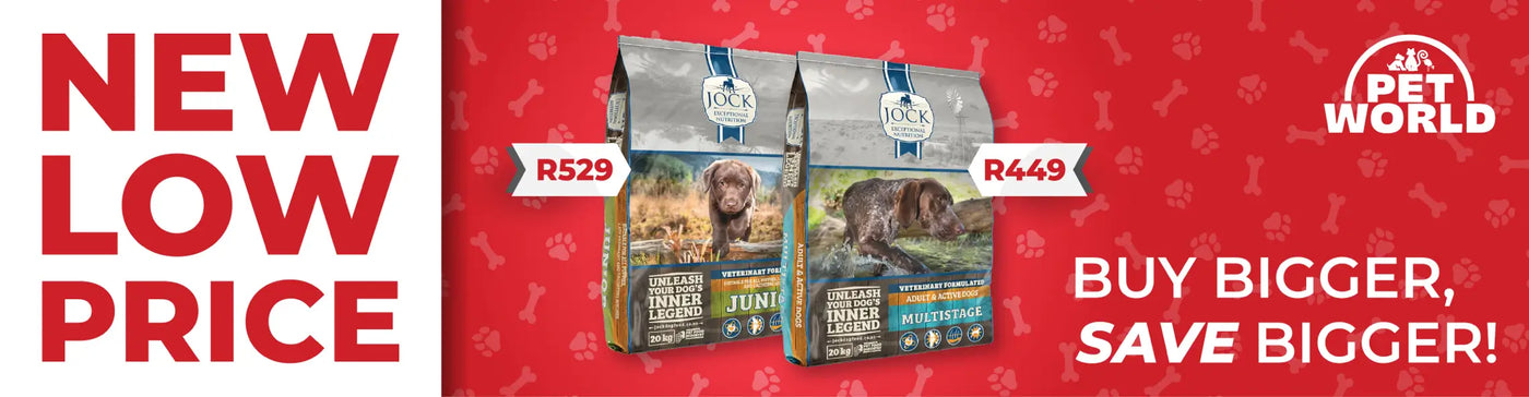 Pet world top online shopping