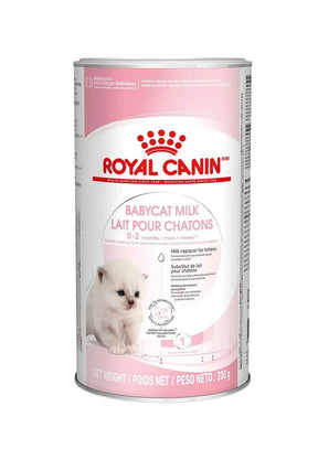 Royal Canin Baby Kitten Milk Wet Cat Food 300g - Petworld