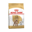 Royal Canin Breed Health Nutrition Poodle Adult Dry Dog Food - Petworld