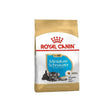 Royal Canin Breed Health Nutrition Schnauzer Puppy Dry Dog Food 1,5kg - Petworld