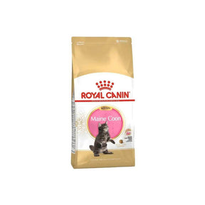 Royal Canin Feline Breed Nutrition Maine Coon Kitten Dry Cat Food - Petworld
