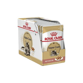 Royal Canin Feline Breed Nutrition Maine Coon Adult Wet Cat Food 85g Pack of 12 - Petworld