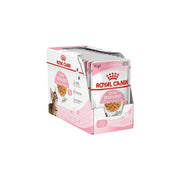 Royal Canin Feline Health Nutrition Kitten Sterilesed in Jelly Wet Cat Food 85g Pack of 12 - Petworld
