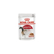 Royal Canin Feline Health Nutrition Instinctive in Gravy Wet Cat Food 85g - Petworld