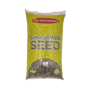 Westermans Giant Sunflower - Petworld